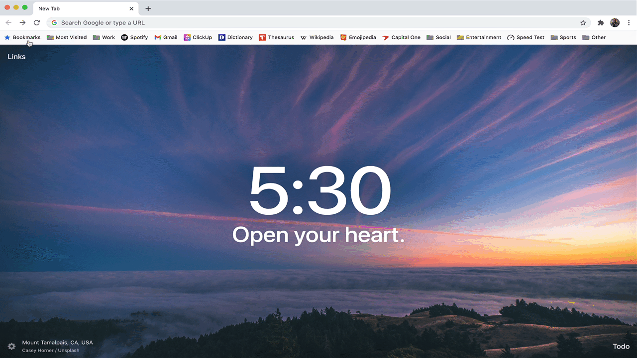 bookmarksoption.gif